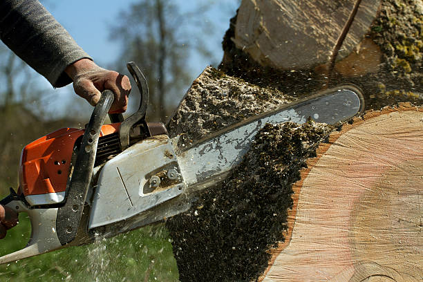 Leaf Removal in Loganville, GA